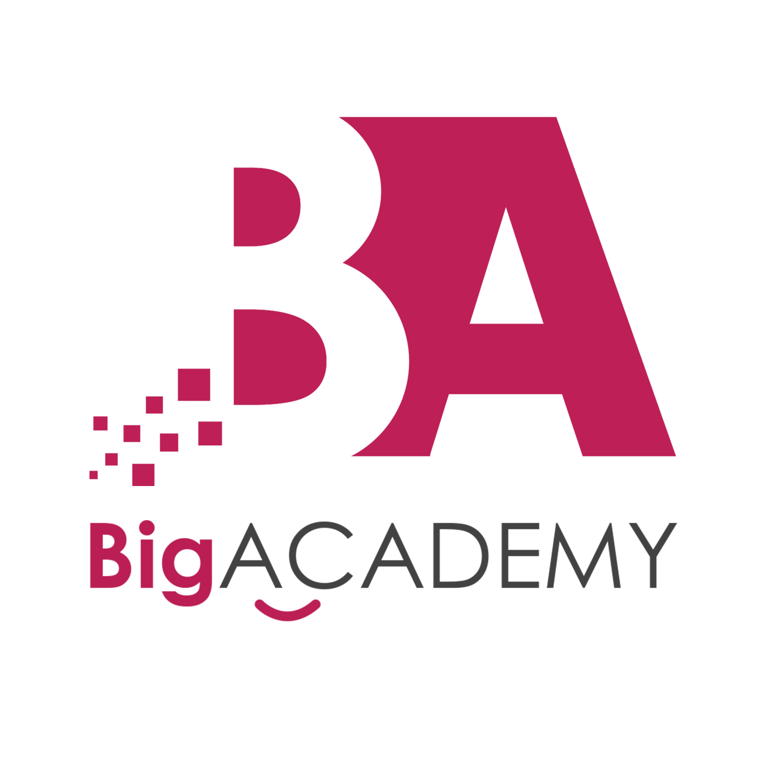 Big Academy