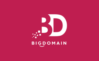 Big Domain logo 320 x200